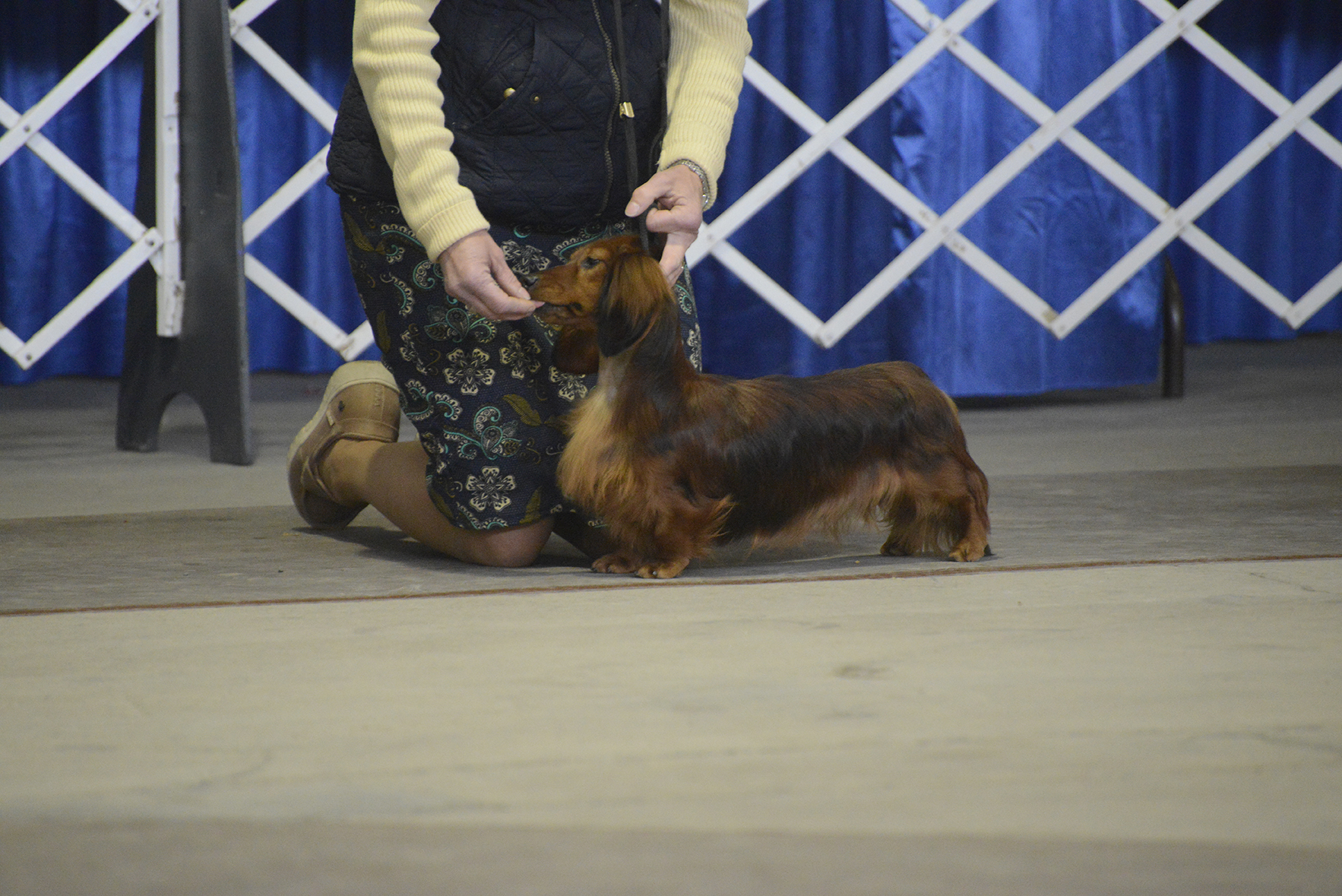 _RDP0036.JPG